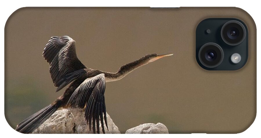 Anhinga iPhone Case featuring the photograph Seen Gone by Joseph Yarbrough