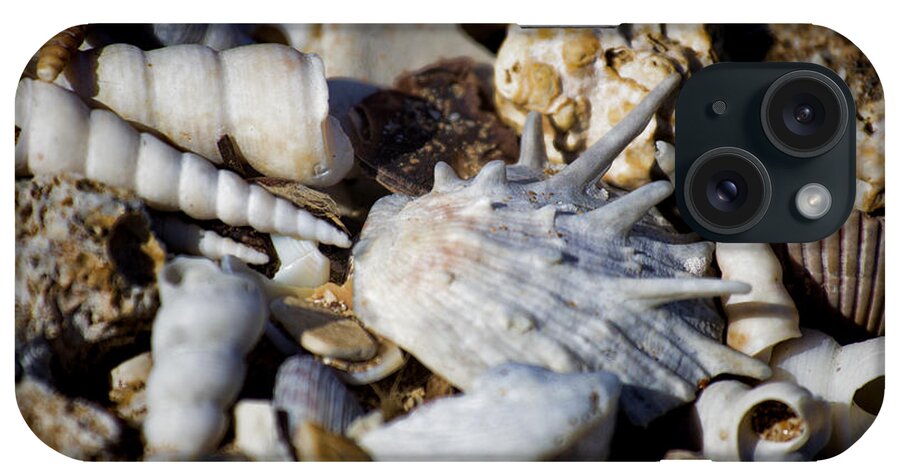 Shells iPhone Case featuring the photograph Shelly Beach V2 by Douglas Barnard