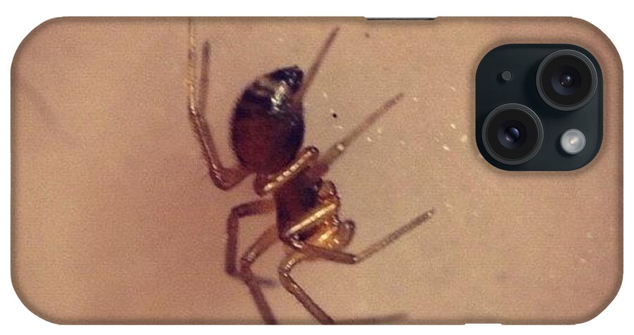 Golden iPhone Case featuring the photograph #shiny #golden #tiny #spider #macro by Charles H