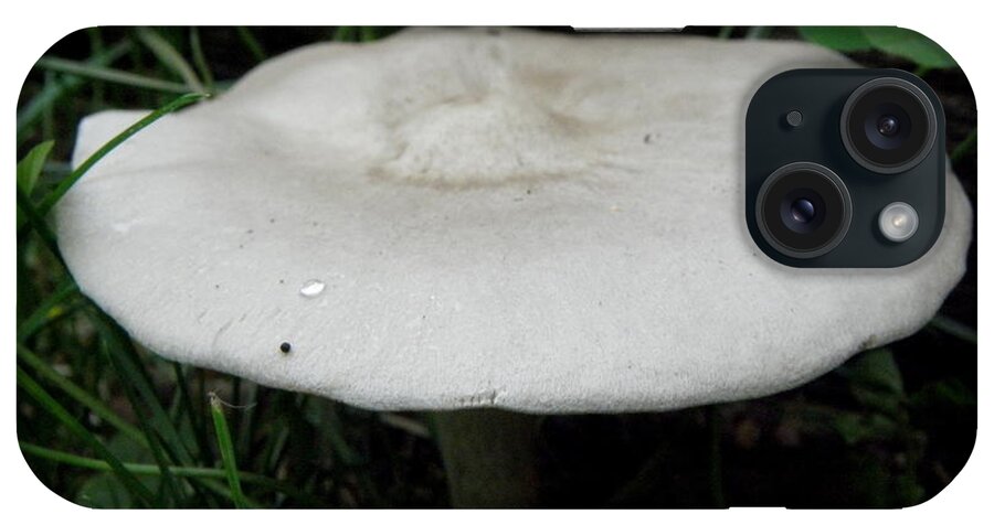 Mushroom iPhone 15 Case featuring the photograph Shroooom by Kim Galluzzo
