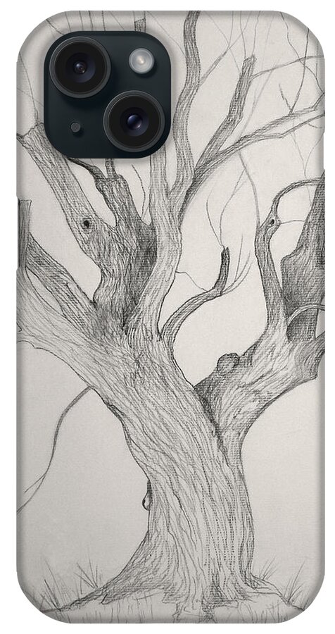 Silver Maple iPhone Case featuring the drawing Silver Maple by Jackie Irwin