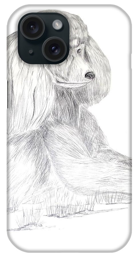 Poodle iPhone Case featuring the drawing Silver Poodle by Maria Urso