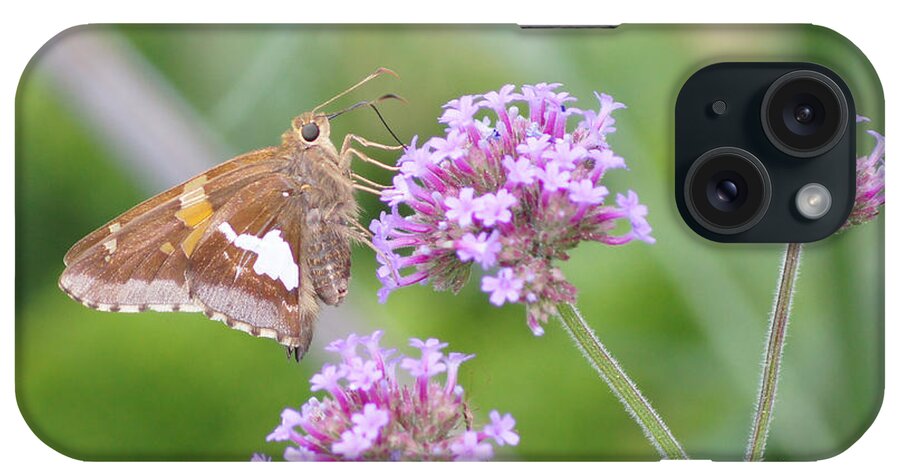 Silver-spotted Skipper iPhone Case featuring the photograph Silver-spotted Skipper and Verbena by Robert E Alter Reflections of Infinity