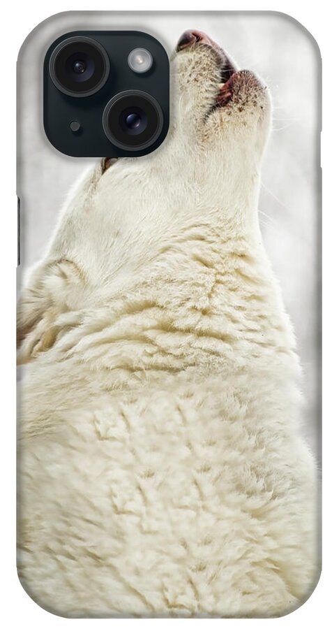 Husky iPhone Case featuring the photograph Singing by Joye Ardyn Durham