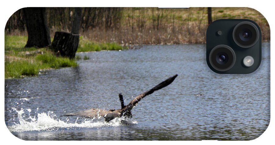 Canadian Geese iPhone Case featuring the photograph Skidding In For A Landing by Kim Galluzzo