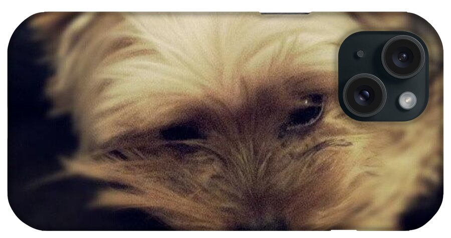  iPhone Case featuring the photograph Sleepy Doggy by Torbjorn Schei