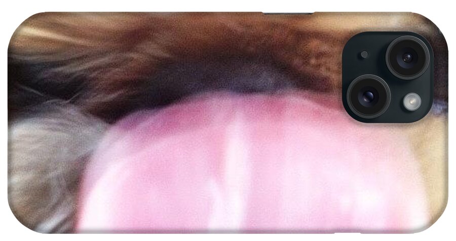 Lick iPhone Case featuring the photograph Sluuurrppp by Caitlin Schmitt