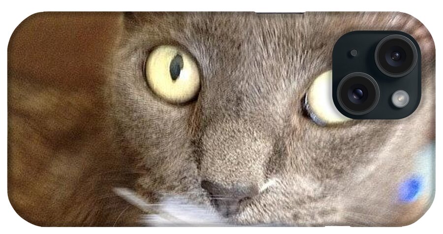 Catsofinstagram iPhone Case featuring the photograph Smile by Cameron Bentley