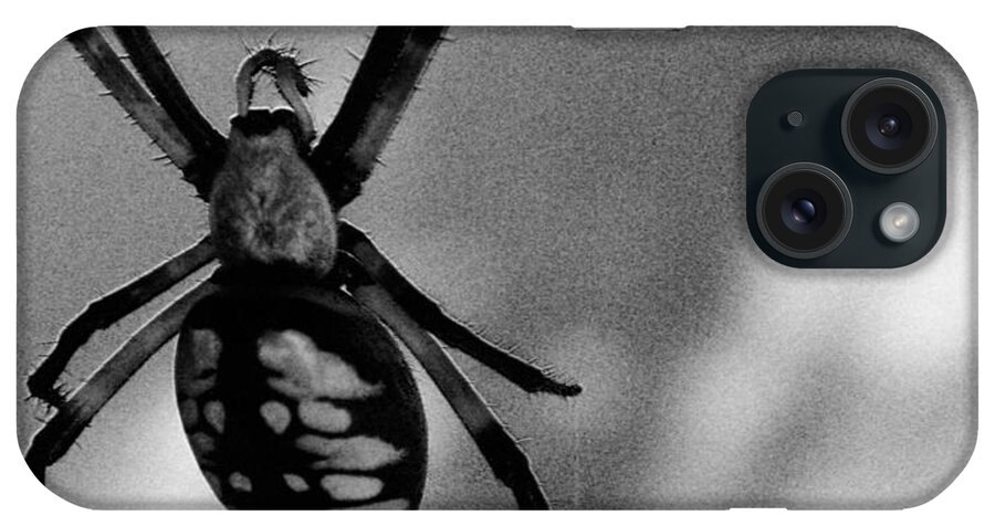 Spider iPhone Case featuring the photograph Leftovers by Chris Berry