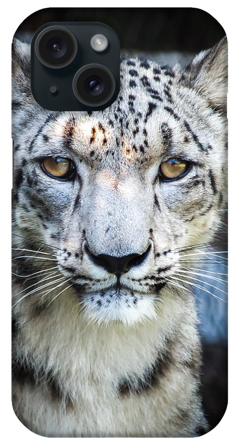 Snow iPhone Case featuring the photograph Snow Leopards Stare by Keith Allen