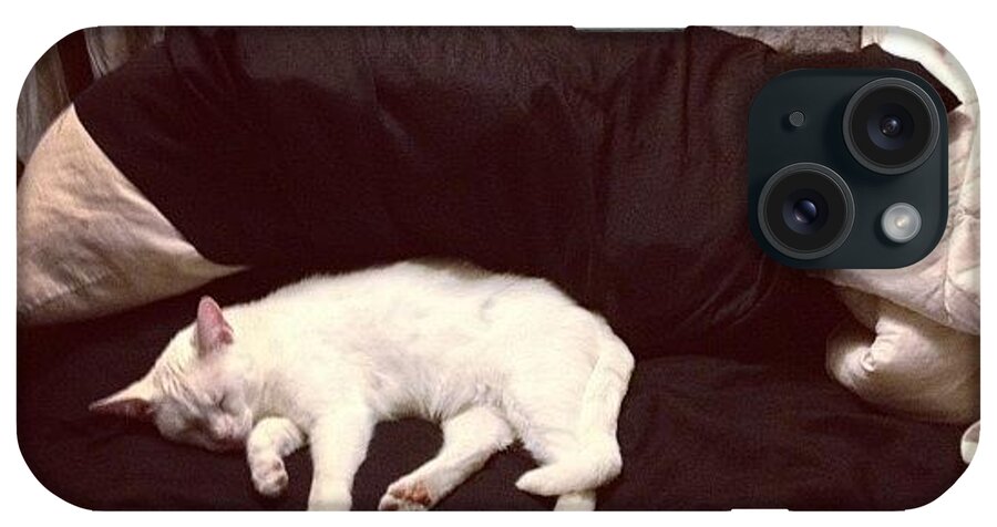  iPhone Case featuring the photograph Snowball Think She's Should Sleep In by Tiffany Spooner