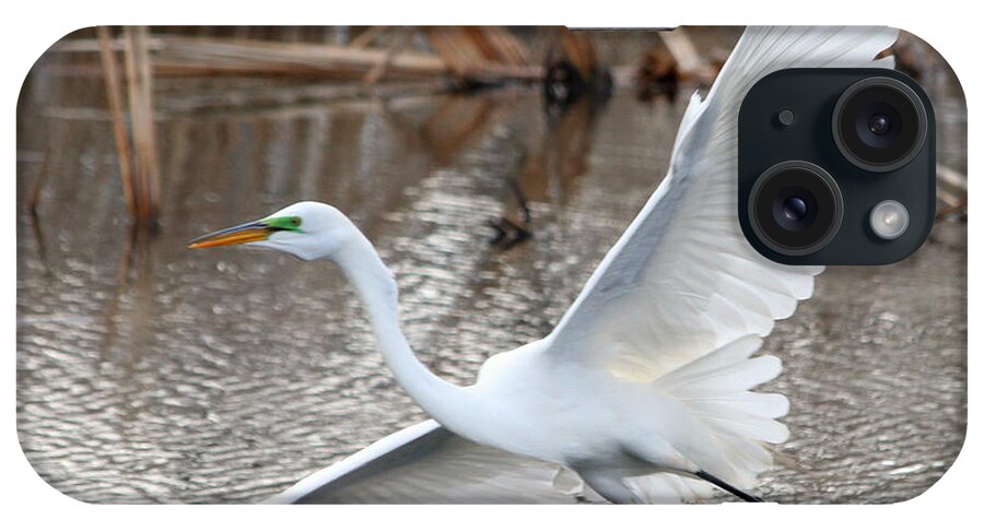 Snowy Egret iPhone Case featuring the photograph Snowy Egret Wingspan by Mark J Seefeldt