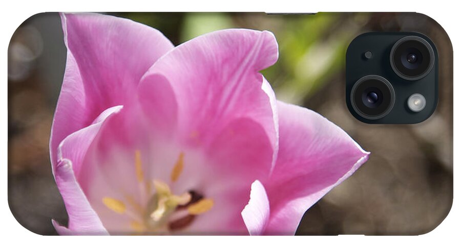 Flowers iPhone Case featuring the photograph Soaking up the Sun by Portraits By NC