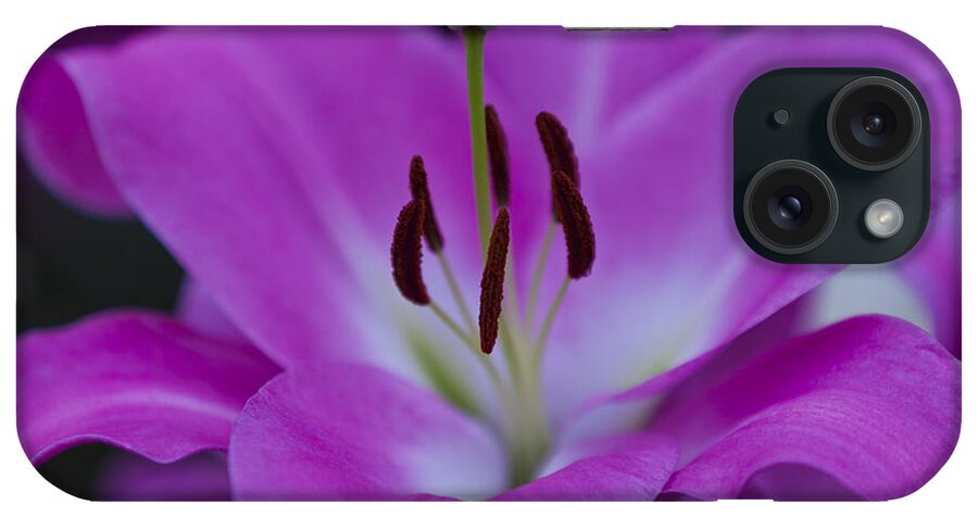 Rhs iPhone Case featuring the photograph Soft Purple by Maj Seda