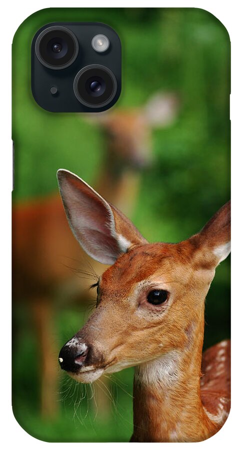 Deer iPhone Case featuring the photograph Someone to Watch Over Me by Lori Tambakis