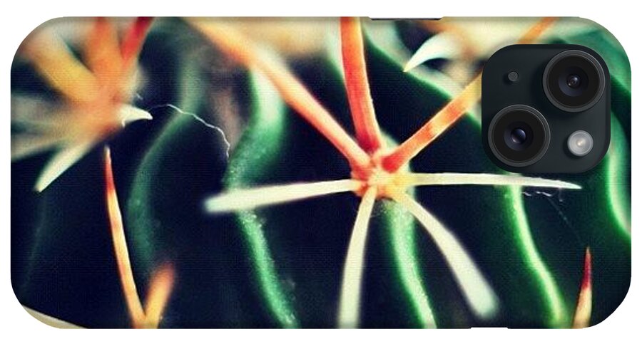 Plant iPhone Case featuring the photograph #spikes #green #plant #igaddict by Ritchie Garrod
