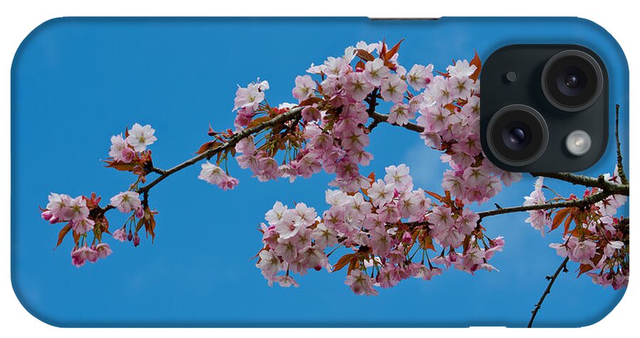 Flower iPhone Case featuring the photograph Spring Blossoms by Tikvah's Hope