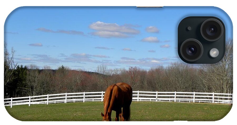 Horse iPhone Case featuring the photograph Spring day grazer by Kim Galluzzo