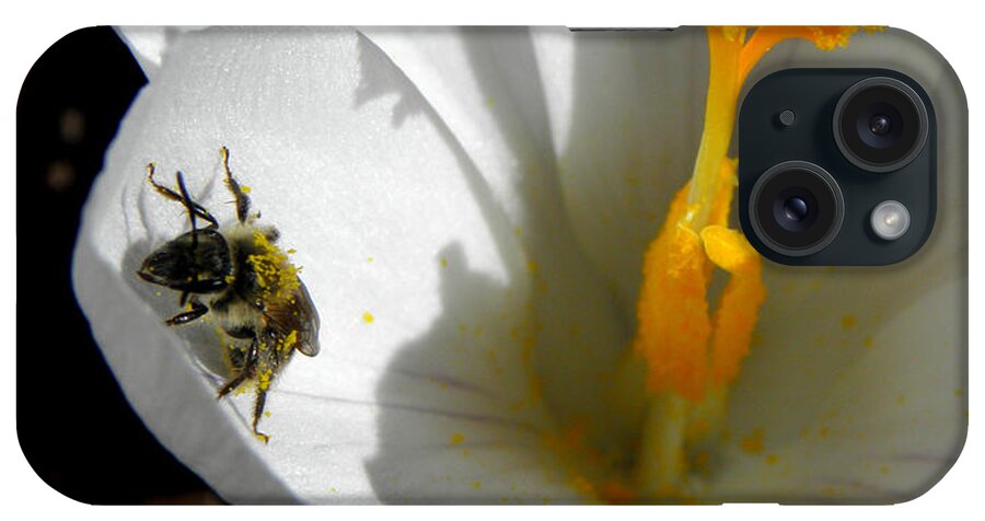 Bee iPhone Case featuring the photograph Springs First Pollination by Kim Galluzzo