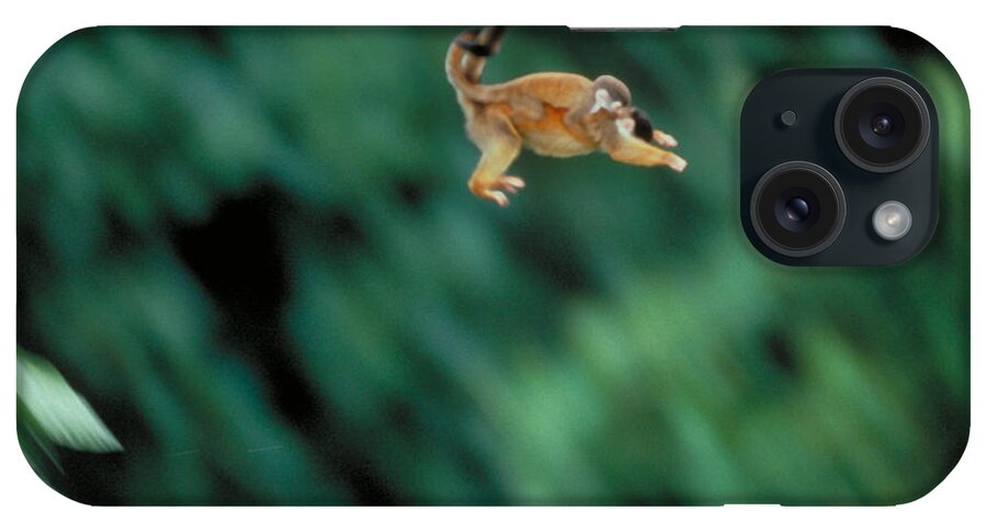 Squirrel Monkey iPhone Case featuring the photograph Squirrel Monkey Leaping With Young by Gregory G Dimijian MD