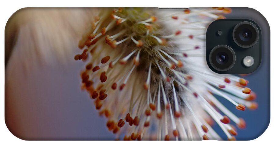 Pussy Willow iPhone Case featuring the photograph Starburst by Sue Capuano
