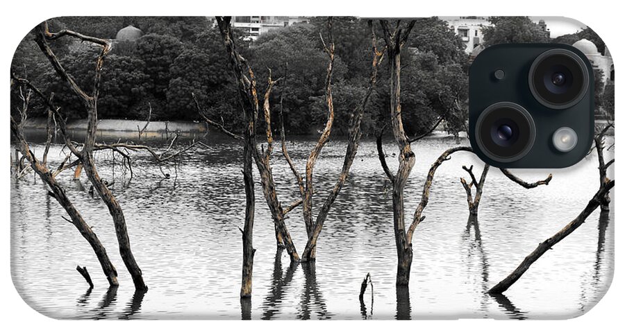 Stomp iPhone Case featuring the photograph Stomps Of Trees In A Lake by Sumit Mehndiratta