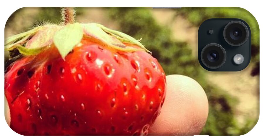 Vermont iPhone Case featuring the photograph Strawberry Jewels Forever by Kelly Diamond