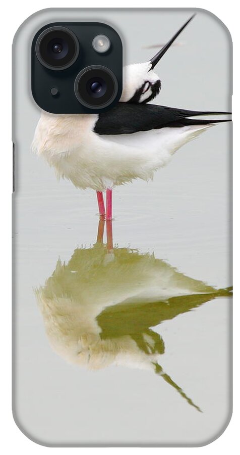Black-necked Stilt iPhone Case featuring the photograph Stretch by Andrew McInnes