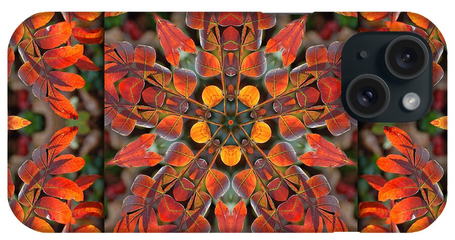 Sumac iPhone Case featuring the digital art Sumac Autumn Kaleidoscope by Frances Miller