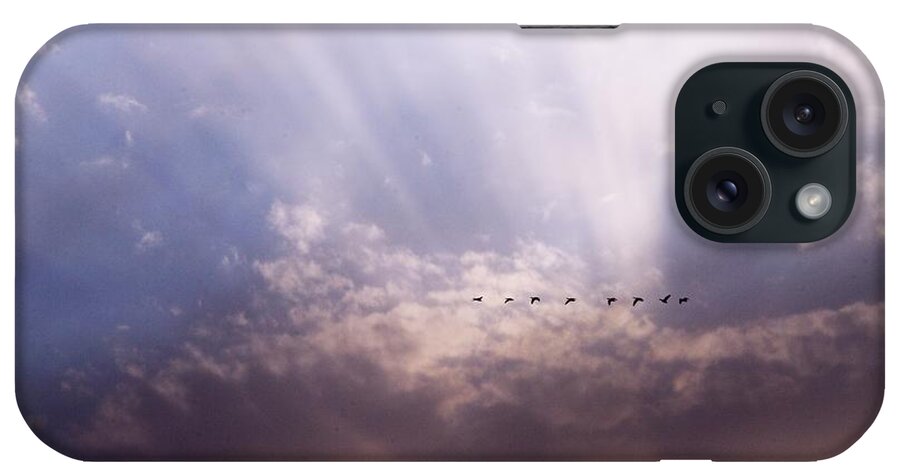 Photography iPhone Case featuring the photograph Sunbeams and Geese by Larry Ricker