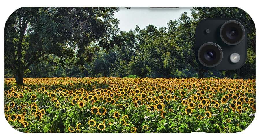 Alabama Photographer iPhone Case featuring the digital art Sunflower Field in the Trees by Michael Thomas