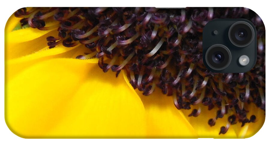 Sunflower iPhone Case featuring the photograph Sunflower Macro by Kimberly Perry