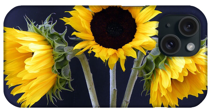 Sunflowers iPhone Case featuring the photograph Sunflowers Three by Sandi OReilly