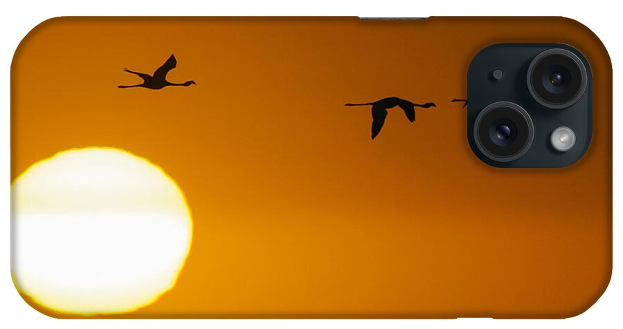 Action iPhone Case featuring the photograph Sunset 3 by Alistair Lyne