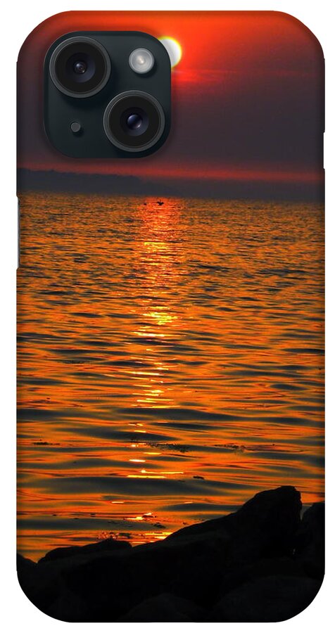 Coletteguggenheim iPhone Case featuring the photograph Sunset by Colette V Hera Guggenheim