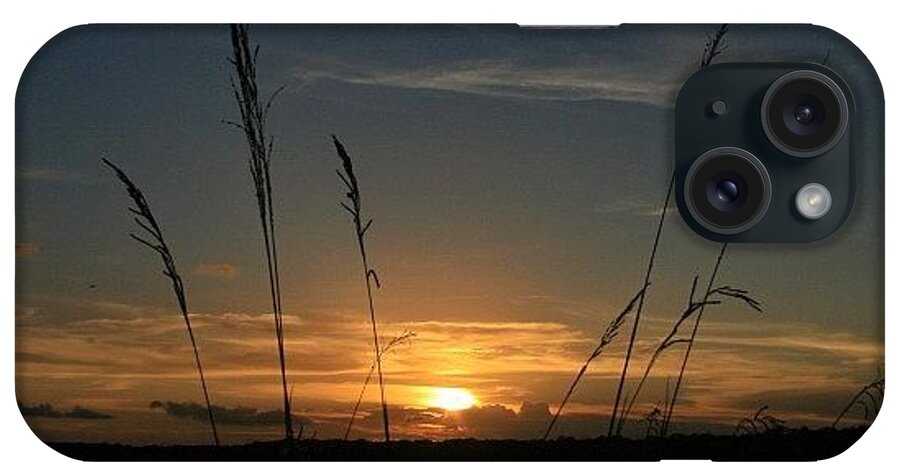 Natgeohub iPhone Case featuring the photograph sunset Over The Marsh by Tony Delsignore