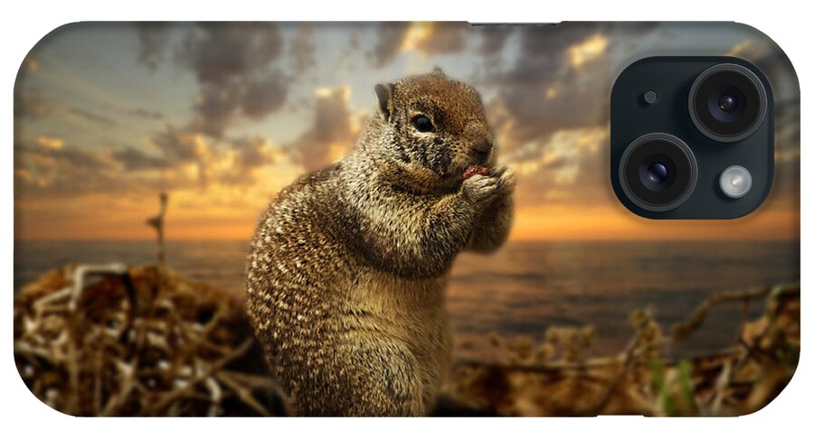Sunset iPhone Case featuring the photograph Sunset Squirrel by Daniel Knighton