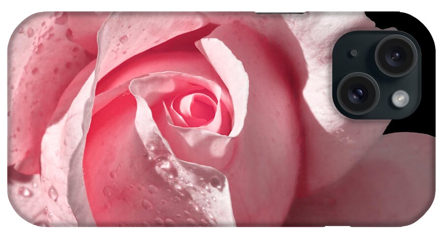 Pink Rose iPhone Case featuring the photograph Supple Pink Rose Dipped In Dew by Tracie Schiebel