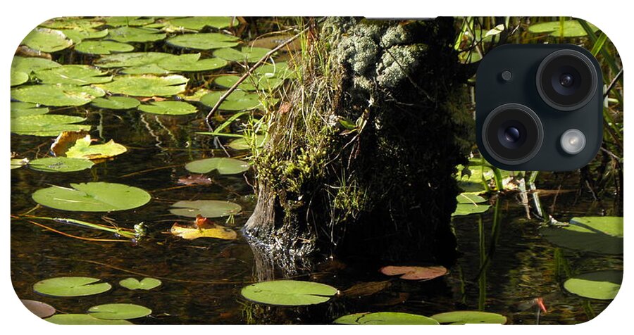 Stump iPhone Case featuring the photograph Surrounded By Lily Pads by Kim Galluzzo
