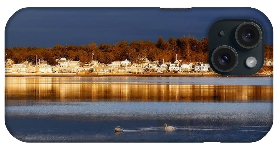 Marsh iPhone Case featuring the photograph Swans at Sunset by Marysue Ryan