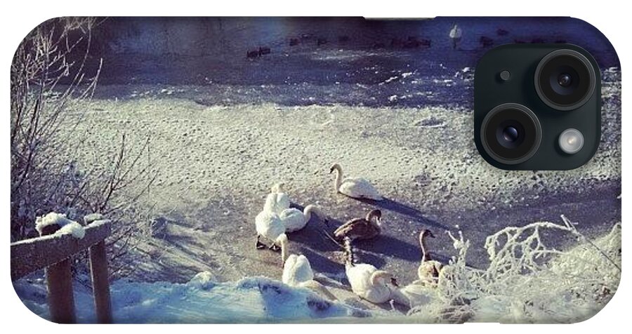  iPhone Case featuring the photograph Swans On Ice On River by Joanne Hewitt