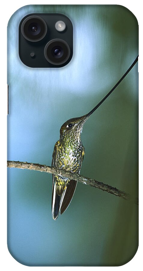 Mp iPhone Case featuring the photograph Sword-billed Hummingbird Ensifera by Tui De Roy