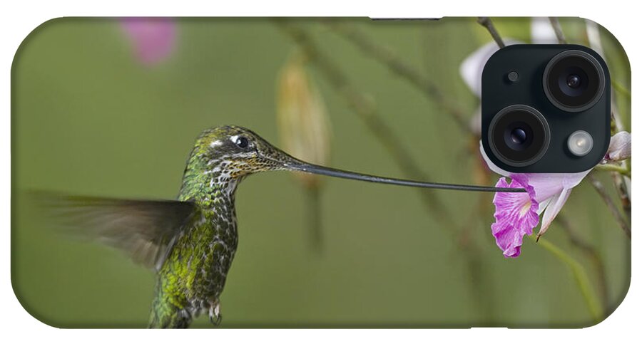 00486960 iPhone Case featuring the photograph Sword Billed Hummingbird Feeding by Tim Fitzharris