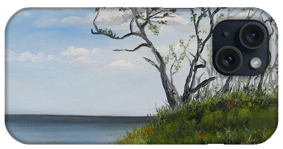 Talbot iPhone Case featuring the painting Talbot Island by Larry Whitler