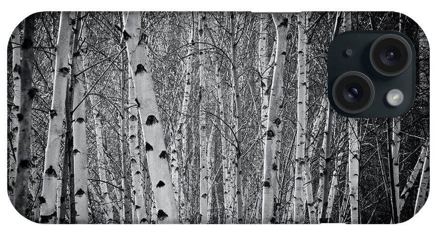 Silver Birch iPhone Case featuring the photograph Tate Modern Trees by Lenny Carter