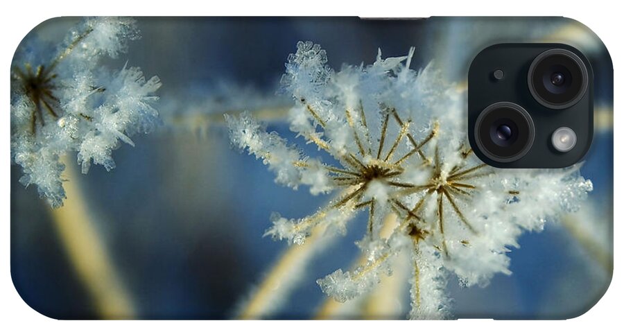 Ice iPhone Case featuring the photograph The Beauty of Winter by Ellen Heaverlo