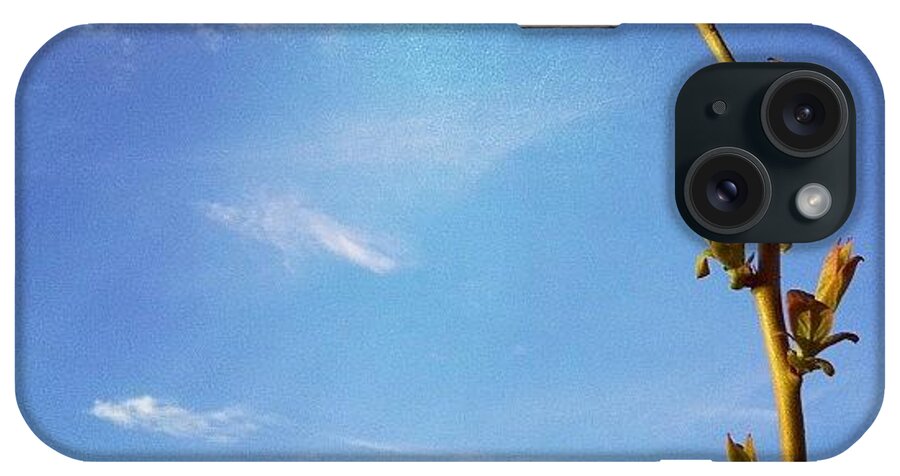 Blue iPhone Case featuring the photograph The Blueberry Bush by Katie Cupcakes