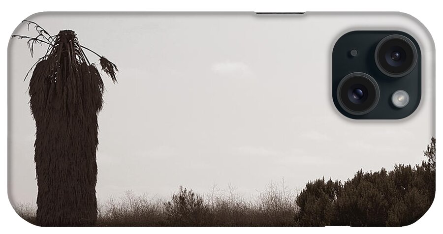 Palm Tree iPhone Case featuring the photograph The Chief by Lorraine Devon Wilke