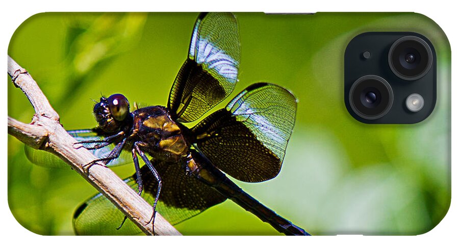 Dragonfly iPhone Case featuring the photograph The Dragons Den by Barry Jones
