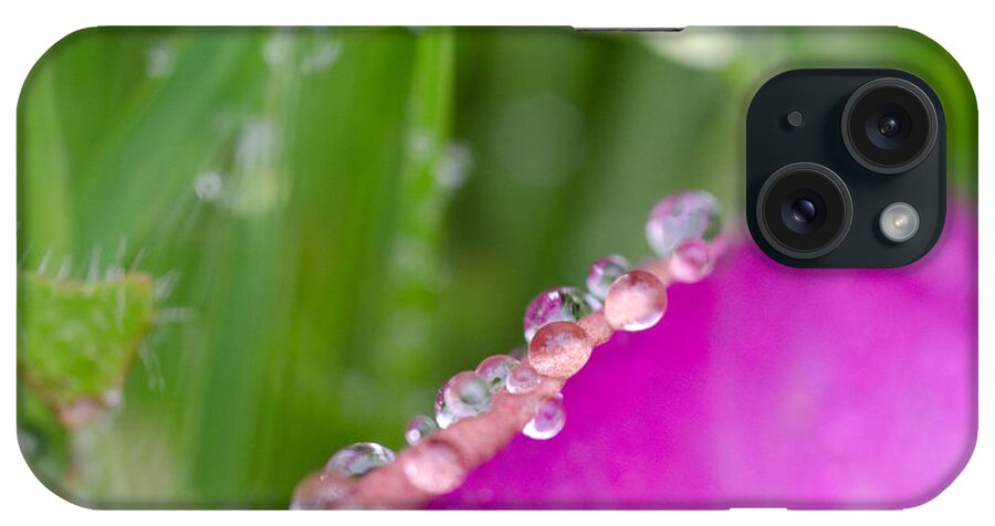 Raindrops iPhone Case featuring the photograph The Edge by Margaret Pitcher